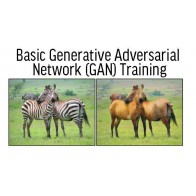 Basic Generative Adversarial Network (GAN) Training