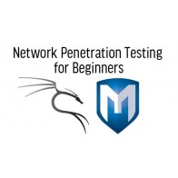 Network Penetration Testing for Beginners