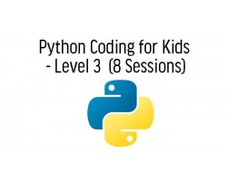 Python Tuition for O-Level Exam Preparation