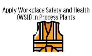 Apply Workplace Safety and Health (WSH) in Process Plant