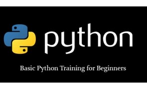 Basic Python Training for Beginners in Malaysia