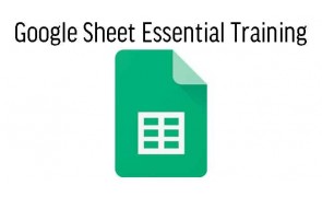 Google Sheet Essential Training