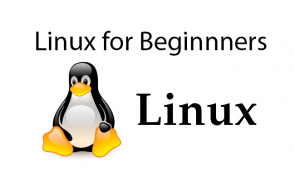 Linux for Beginners Malaysia