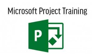 Microsoft Project Training