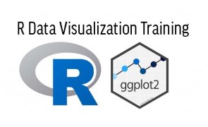 R Data Visualization Training in Malaysia