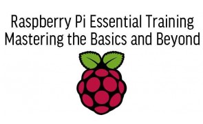 Raspberry Pi Essential Training in Malaysia