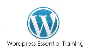 1 Day WordPress Essential Training  Course